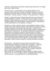 Amžinoji pasirinkimo prasmė I. Mero romane „Lygiosios trunka akimirką“ ir biblijos fragmentuose 2 puslapis