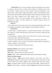 Priešmokyklinio amžiaus vaikų renginio projektas 2 puslapis