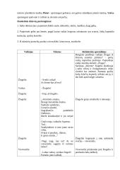 Priešmokyklinio amžiaus vaikų renginio projektas 3 puslapis