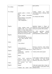 Priešmokyklinio amžiaus vaikų renginio projektas 6 puslapis