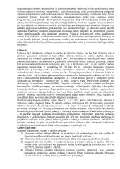 Vandentvarkos sistemų eksploatacija 20 puslapis