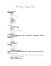 Vartotojų elgsena rinkodaroje 3 puslapis