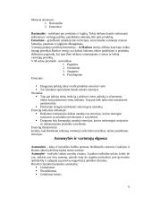 Vartotojų elgsena rinkodaroje 6 puslapis