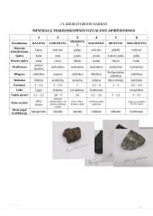 Mineralų savybės ir mineralų makroskopinis/vizualinis apibūdinimas 4 puslapis
