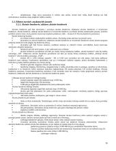 Verslo administravimas 16 puslapis