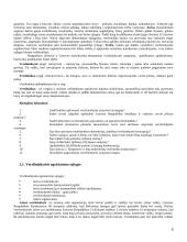 Verslo administravimas 8 puslapis