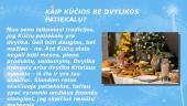 Kūčių papročiai (skaidrės) 5 puslapis