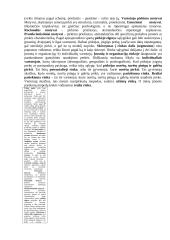 Įvadas į verslą teorija 17 puslapis