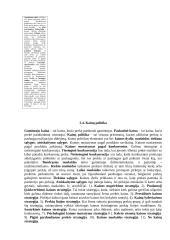 Įvadas į verslą teorija 19 puslapis