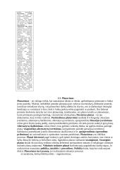 Įvadas į verslą teorija 6 puslapis