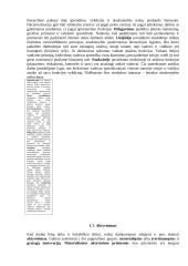 Įvadas į verslą teorija 8 puslapis