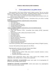 Verslo organizacinės formos