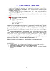 Verslo organizacinės formos 13 puslapis