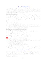 Verslo organizacinės formos 14 puslapis