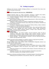 Verslo organizacinės formos 20 puslapis