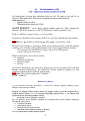 Verslo organizacinės formos 6 puslapis