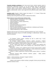 Verslo organizacinės formos 8 puslapis