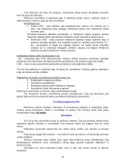 Verslo organizacinės formos 10 puslapis