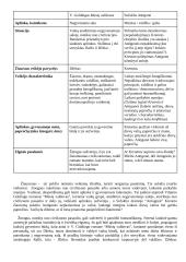 Kodėl žmogus kartais būna žiaurus? kalba ir planas 2 puslapis