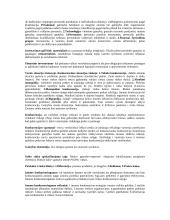 Verslo organizavimo teorija 2 puslapis