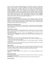 Verslo organizavimo teorija 5 puslapis