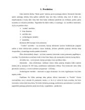 Verslo planas: kūno kultūros klubas "Mums gerai" 2 puslapis