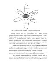 Verslo planas: kūno kultūros klubas "Mums gerai" 3 puslapis