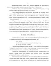 Verslo planas: kūno kultūros klubas "Mums gerai" 8 puslapis