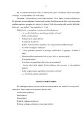 Verslo plano metodika 2 puslapis