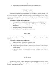 Verslo plano metodika 11 puslapis