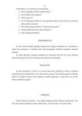 Verslo plano metodika 12 puslapis