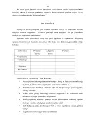 Verslo plano metodika 13 puslapis