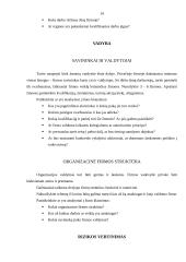 Verslo plano metodika 14 puslapis