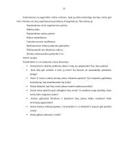 Verslo plano metodika 15 puslapis