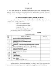 Verslo plano metodika 16 puslapis