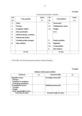 Verslo plano metodika 17 puslapis