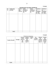 Verslo plano metodika 20 puslapis
