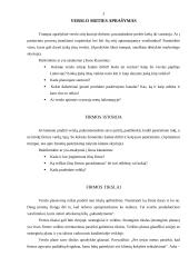 Verslo plano metodika 3 puslapis