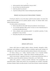 Verslo plano metodika 5 puslapis