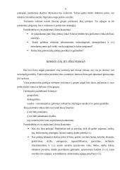 Verslo plano metodika 6 puslapis