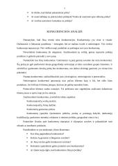 Verslo plano metodika 7 puslapis