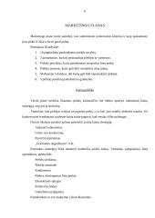 Verslo plano metodika 8 puslapis