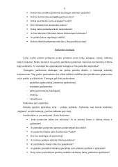 Verslo plano metodika 9 puslapis