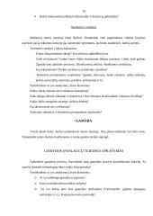 Verslo plano metodika 10 puslapis