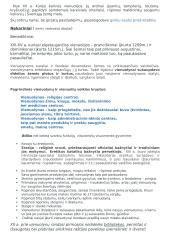 Krikščionybė viduramžiais 4 puslapis