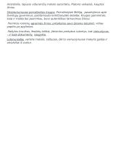 Krikščionybė viduramžiais 5 puslapis