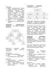 Verslo vadyba ir valdymas 11 puslapis