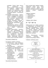 Verslo vadyba ir valdymas 6 puslapis