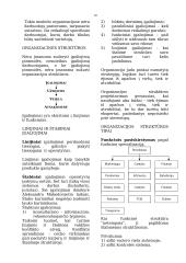 Verslo vadyba ir valdymas 10 puslapis