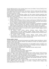 Sisteminis požiūris. Sistemos. Sisteminiai principai 2 puslapis